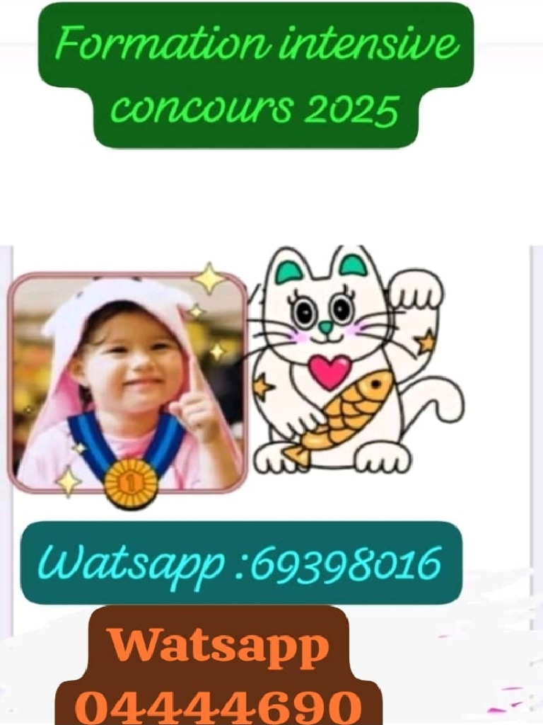 Sujet Du Concours Blanc N 3 | PDF