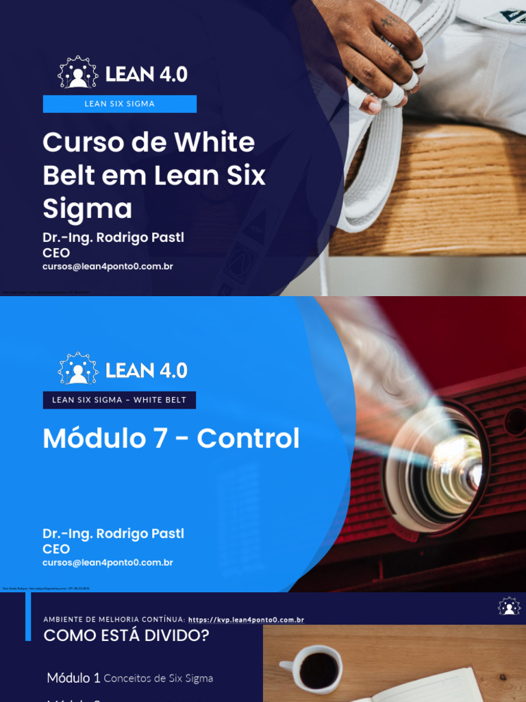 Aula 17 - Lean Six Sigma | PDF | Seis Sigma