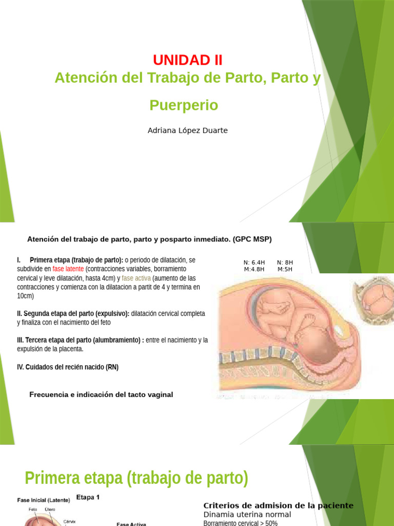 Atención Integral del Parto y Puerperio | PDF | Parto | El embarazo