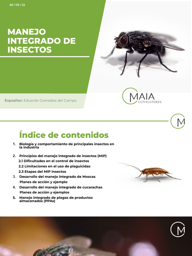 Manejo Integrado de Insectos en la Industria | PDF | Mosquito | Insectos