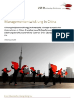 USP-D Managemententwicklung in China