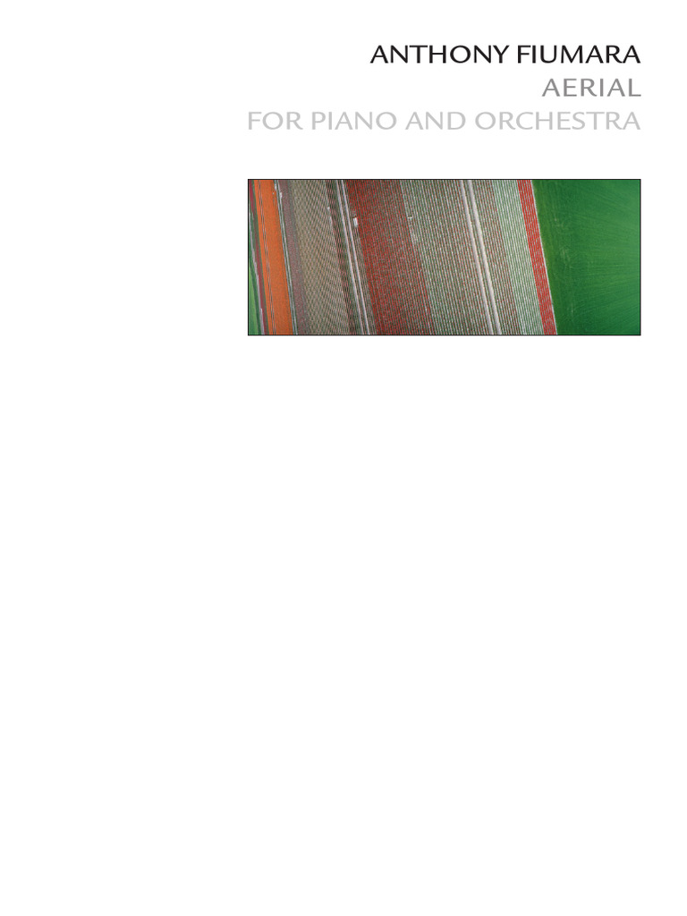 Aerial | PDF | Orchestras | Musical Instruments