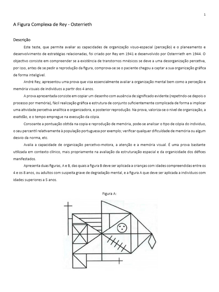 Avaliação da Figura Complexa de Rey | PDF | Tempo | Memória