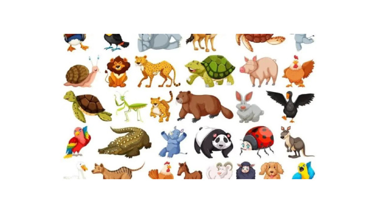 Wild Animals | PDF