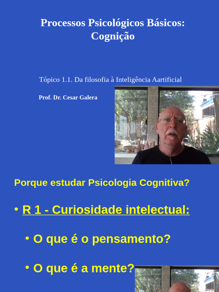 Fundamentos da Psicologia Cognitiva | PDF | Pensamento | Psicologia