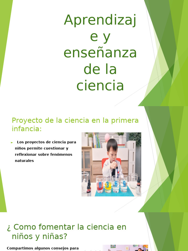 Aprendizaje y Enseñanza de La Ciencia | PDF