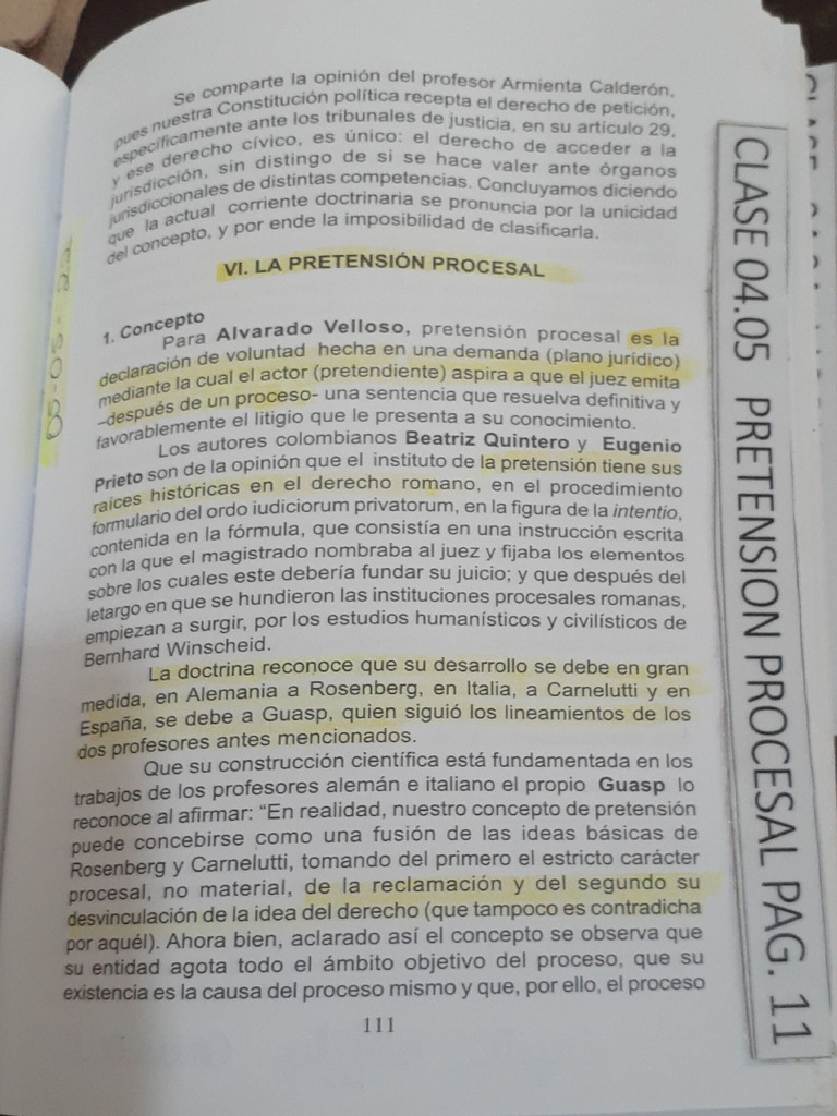 Pretensión Procesal | PDF | Ley procesal | Demanda judicial
