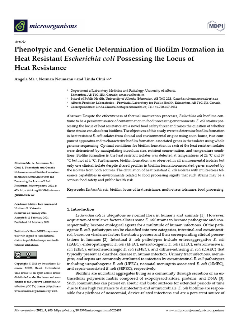 Phenotypic and Genetic Determination of Biofilm Fo | PDF | Escherichia ...