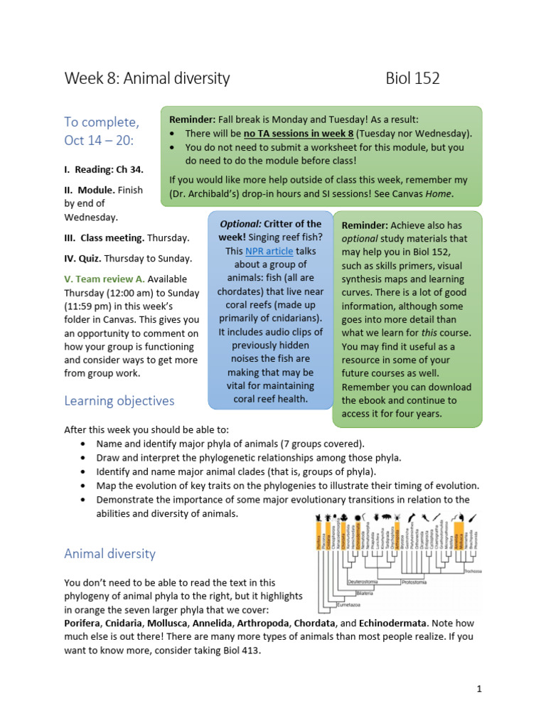 Animal Diversity and Phylogenetics Overview | PDF | Sponge | Zoology