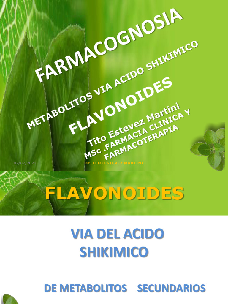 flavonoides-y-cido-shik-mico-pdf-flavonoide-etanol