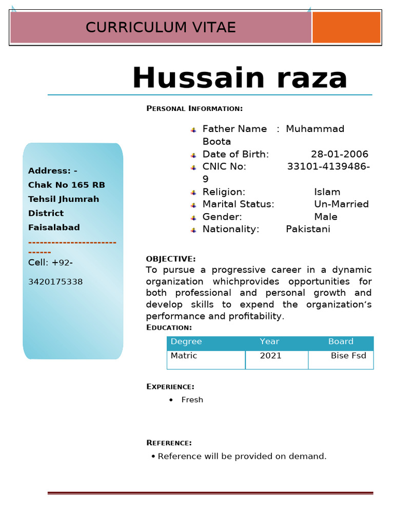 Hussain Raza's CV and Career Objective | PDF