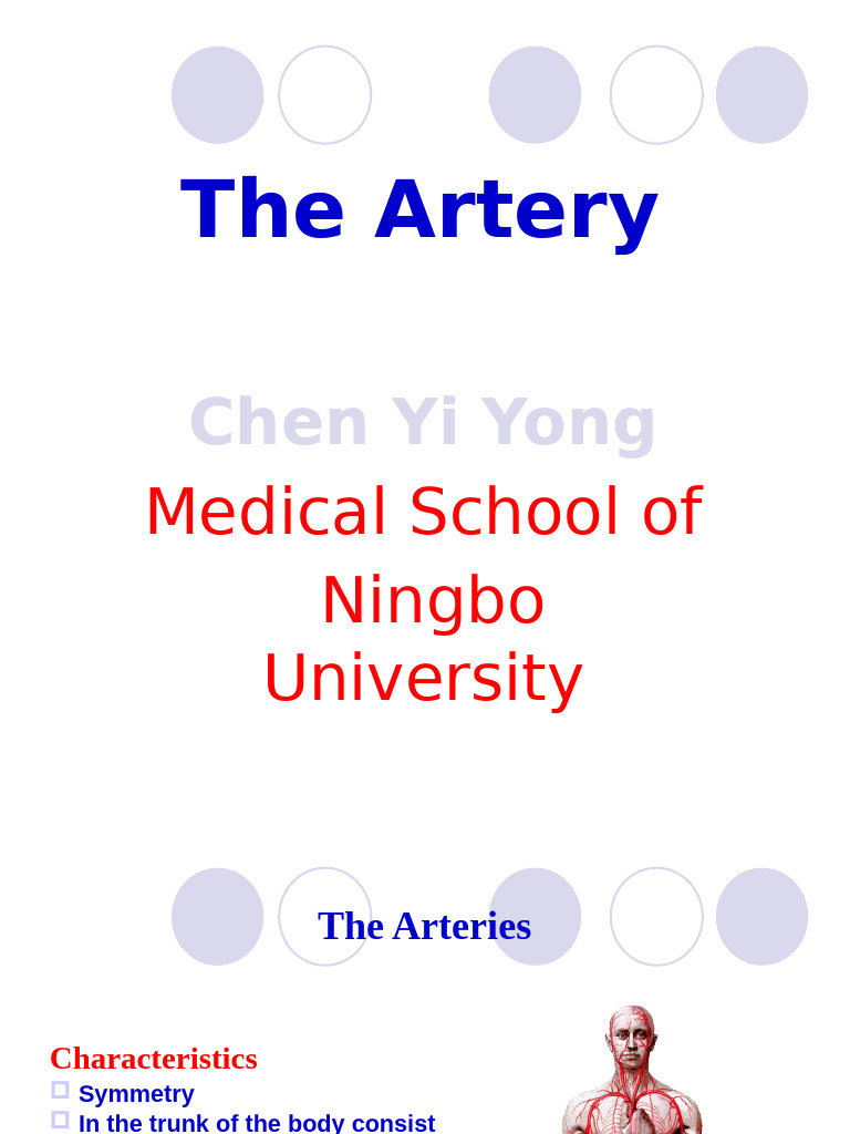2-Artery | PDF | Aorta | Common Carotid Artery