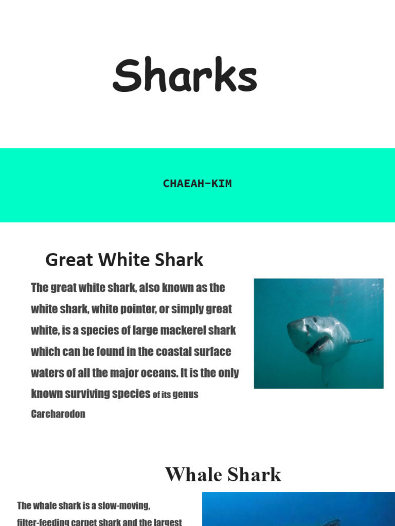 Nurse Shark: Vulnerable Status Explained | PDF