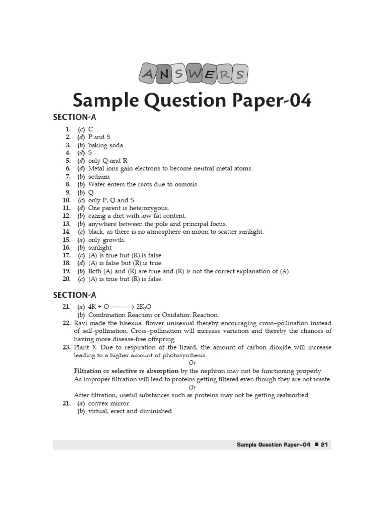Sample Question Paper for Science Exam | PDF | Redox | Rust