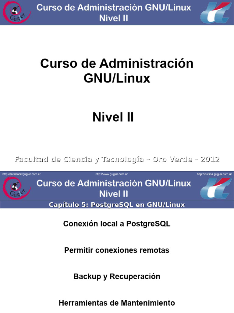 PostgreSQL en GNU/Linux: Guía Completa | PDF | Postgre Sql | Apoyo
