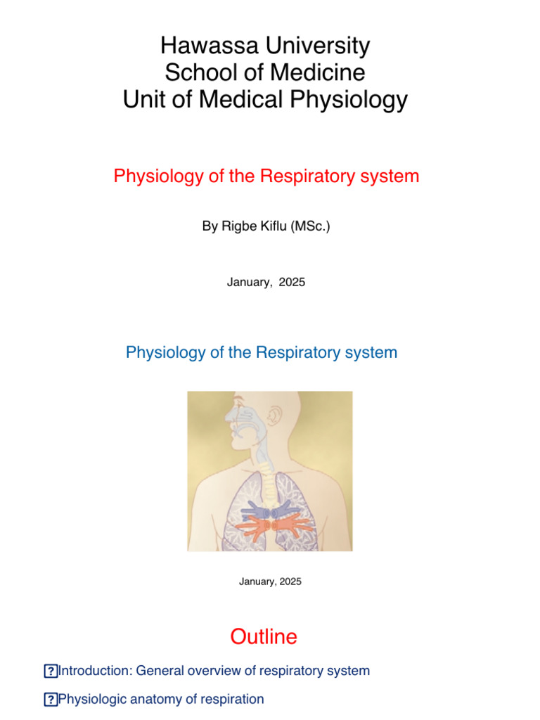 Respiratory System Physiology Overview | PDF | Respiratory Tract | Lung