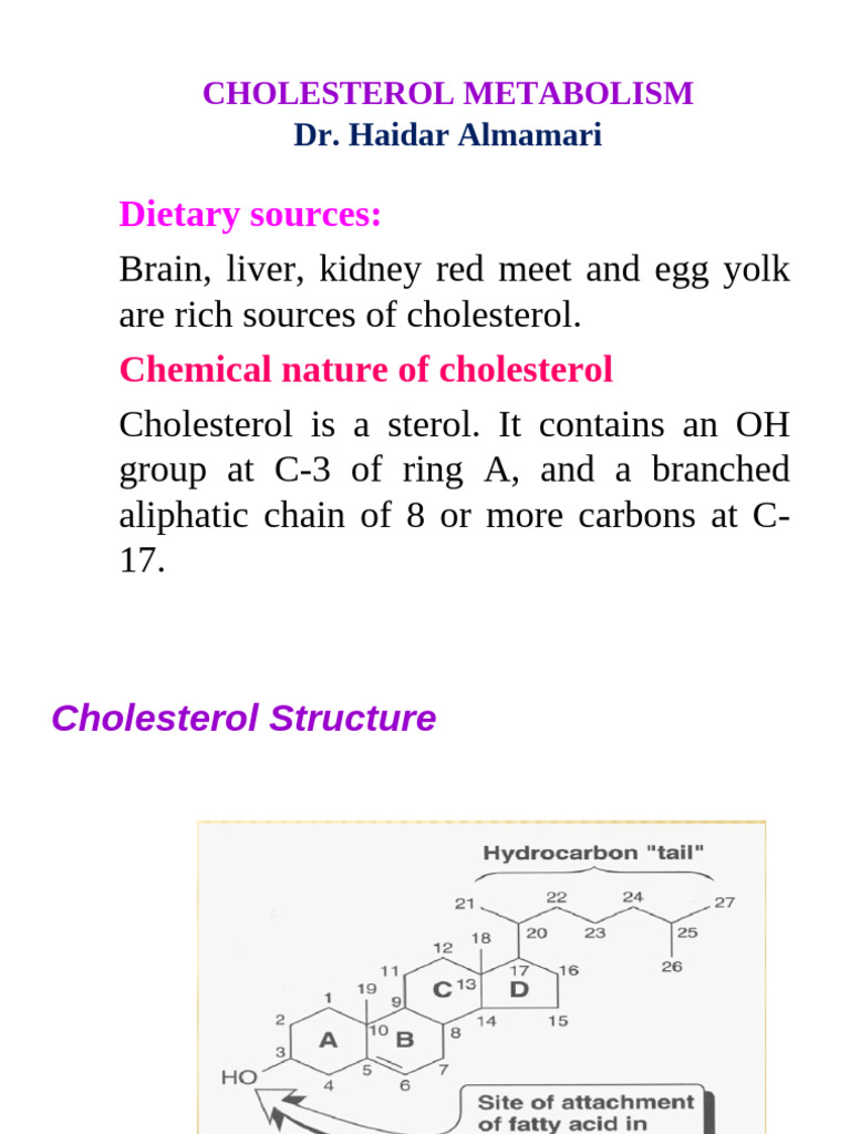Cholesterol Metabolism Overview | PDF | Cholesterol | Hypercholesterolemia