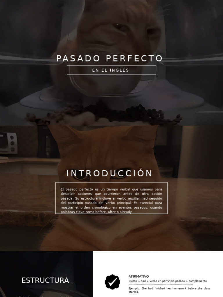 Guía del Pasado Perfecto en Inglés | PDF | Verbo | Sintaxis