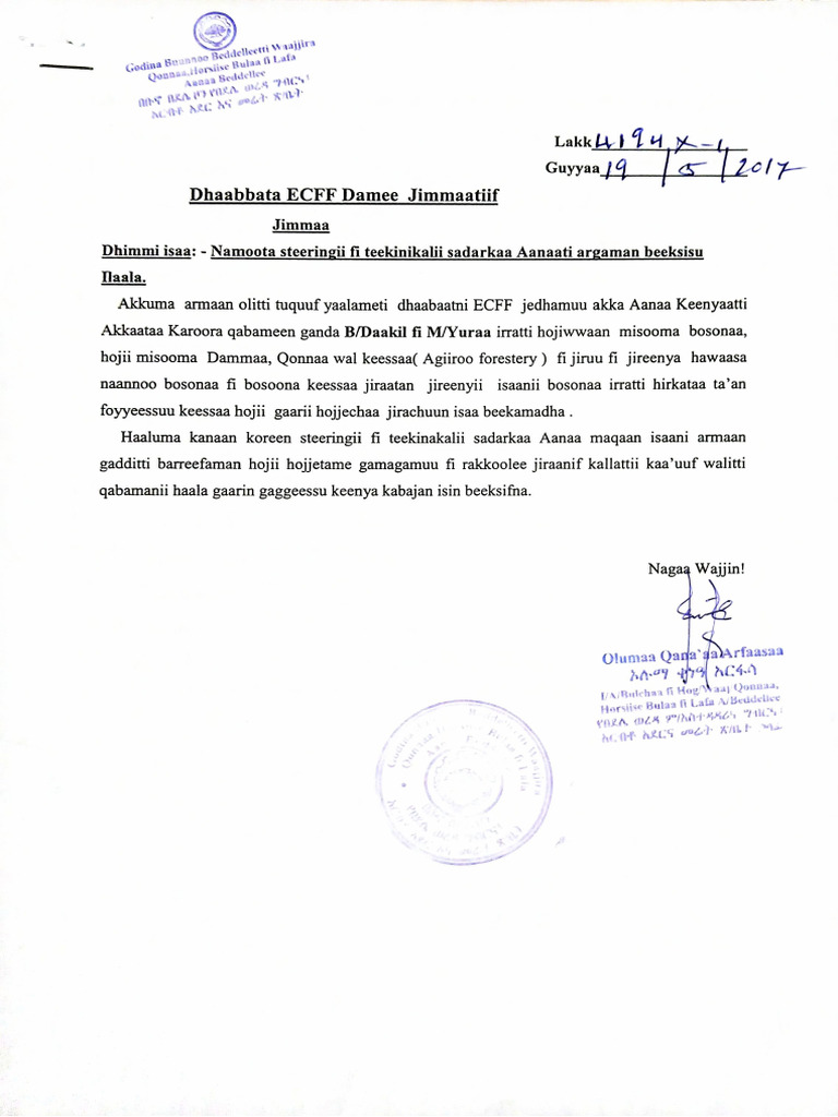 Document 25 | PDF
