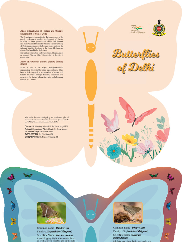 Butterflies of Delhi: A Comprehensive Guide | PDF | Butterfly | Lepidoptera