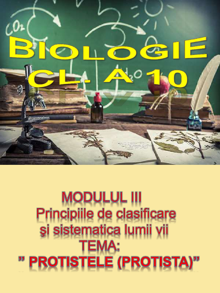 Tema 4.protistele - Algele.Prezentare | PDF