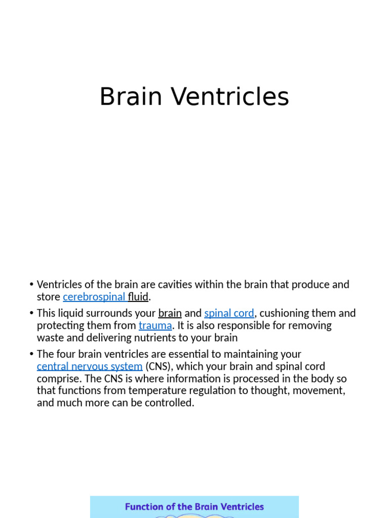 Brain Ventricles | PDF | Cerebrospinal Fluid | Nervous System