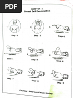 Buhner Suture Technique for Bovine Vulva | PDF | Surgical Suture | Vagina
