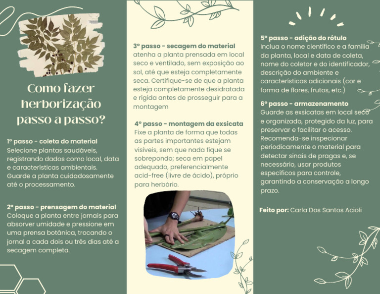 Como Montar uma Exsicata de Plantas | PDF