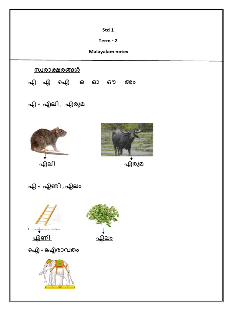 STD 1 Term 2 | PDF
