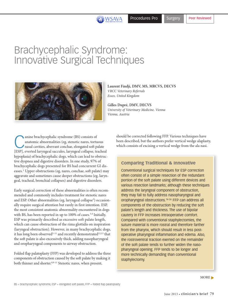 Brachycephalic Surgery Techniques | PDF | Surgical Suture | Clinical ...