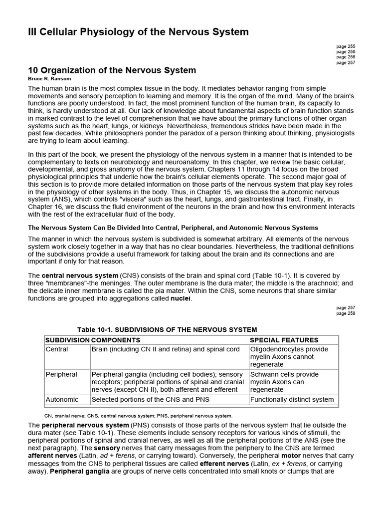 Nervous System Cellular Physiology Overview | PDF | Central Nervous ...