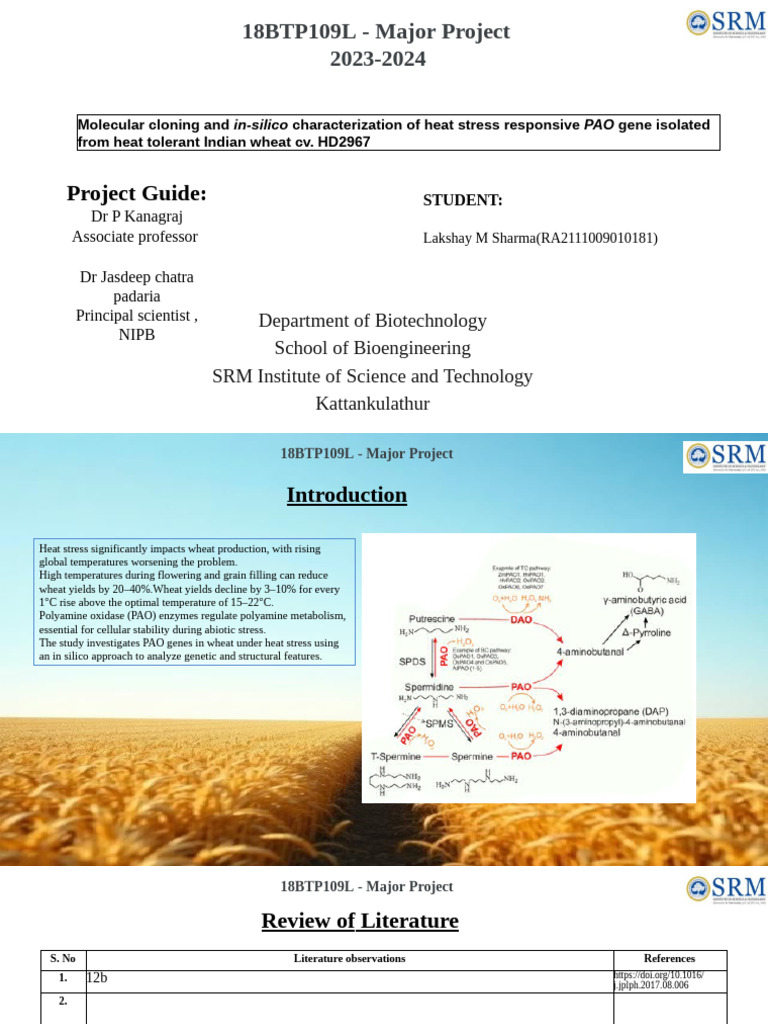 Cloning and Characterization of PAO Gene in Wheat | PDF | Complementary ...