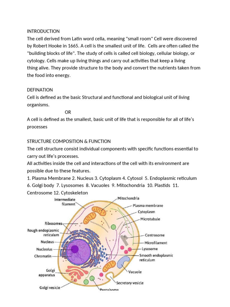 cell | PDF | Cell (Biology) | Endoplasmic Reticulum