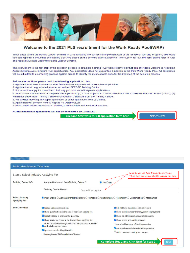 Step-by-Step PLS Application Guide | PDF