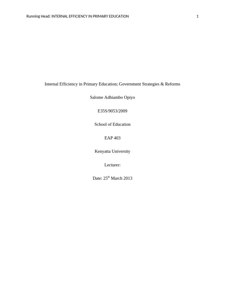 Internal Efficiency in Primary Education - Government Strategies ...