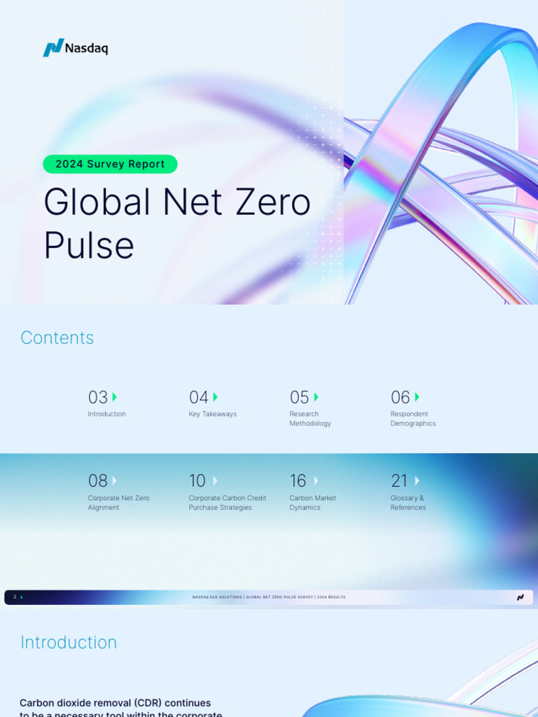 2024 Global Net Zero Pulse Survey Report | PDF | Climate Change ...