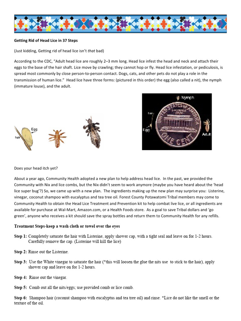 Getting Rid of Head Lice in 37 Challenging Steps | PDF