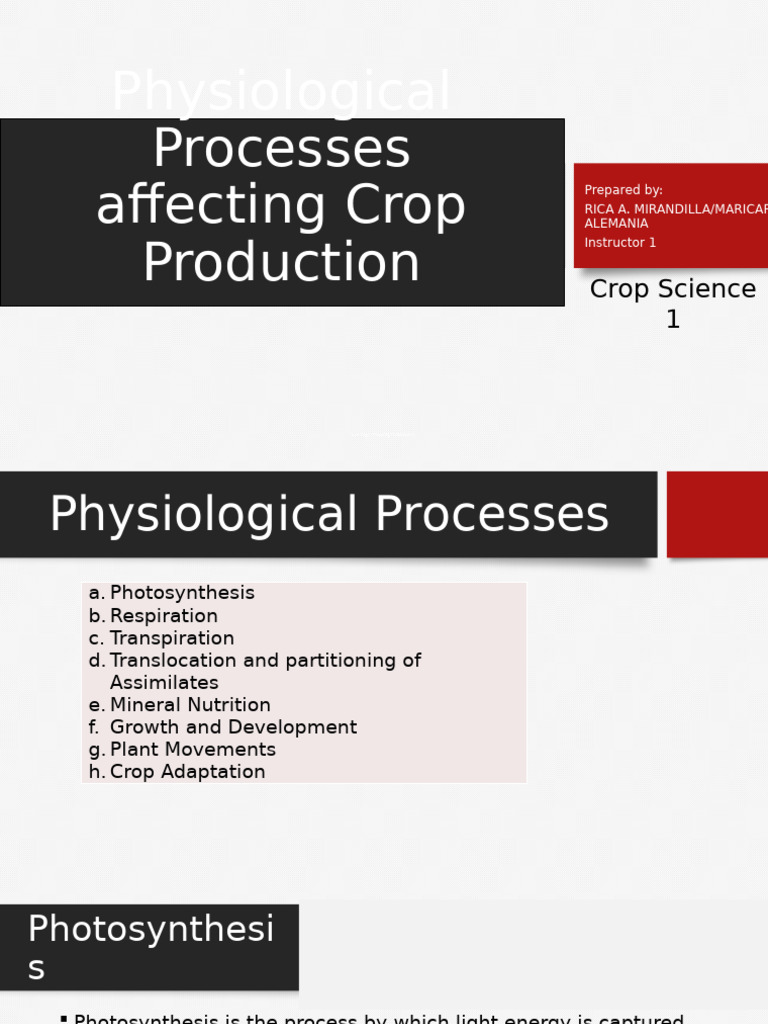 Key Physiological Processes in Crops | PDF | Cellular Respiration ...