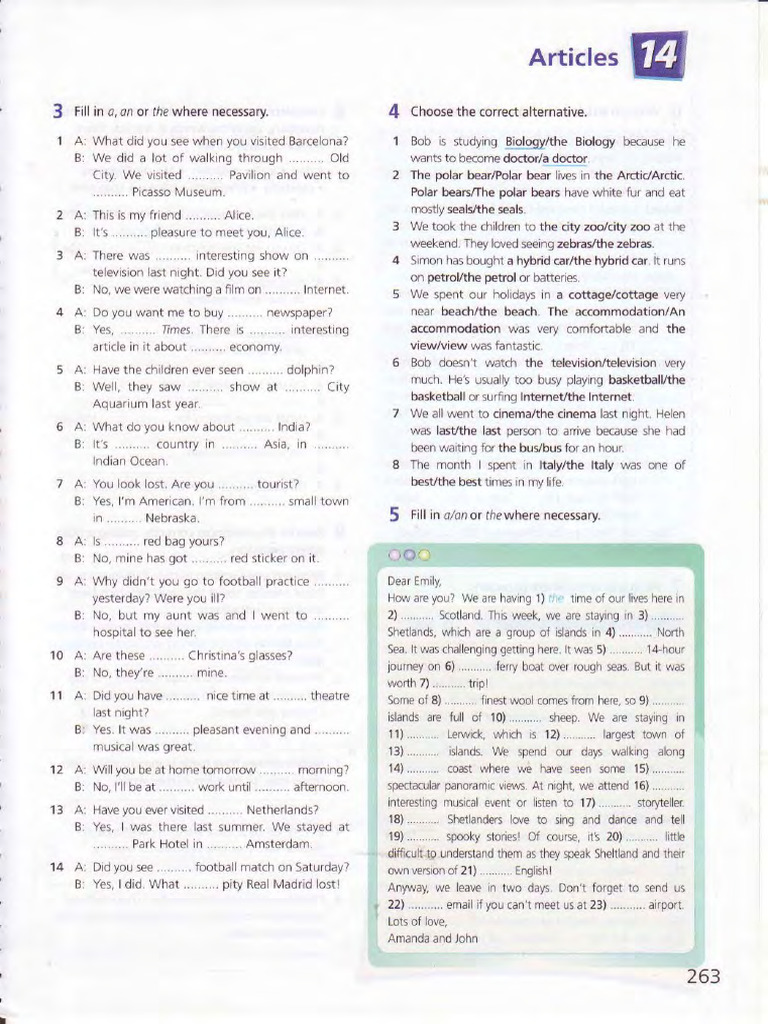 B2 Articles Exercises and Tests | PDF