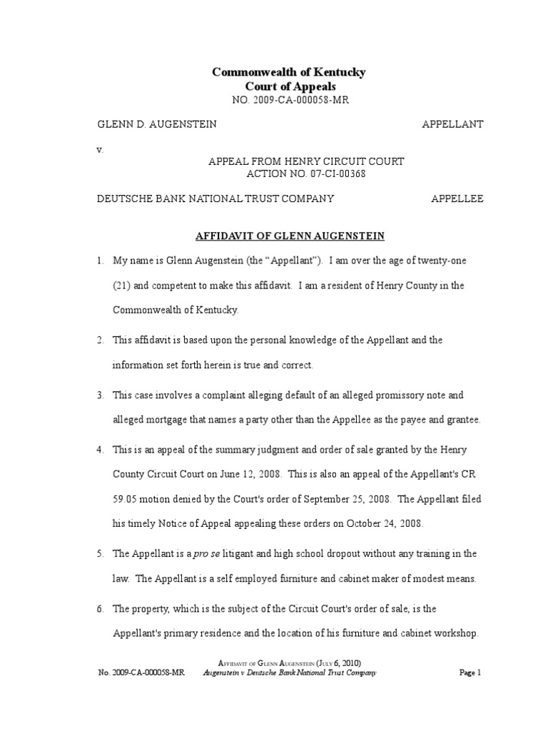 Affidavit V5a Virginia Circuit Court Brief (Law)