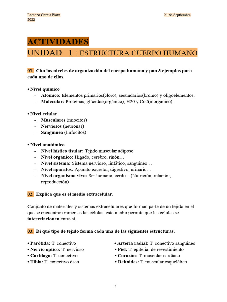 Niveles de Organización del Cuerpo Humano | PDF | Términos anatómicos ...