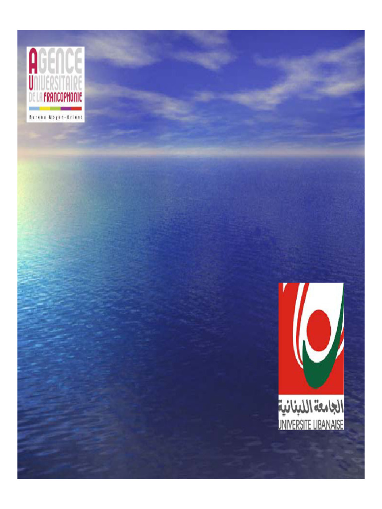 Impact du Mercure sur les Écosystèmes au Moyen-Orient | PDF | Mercure ...