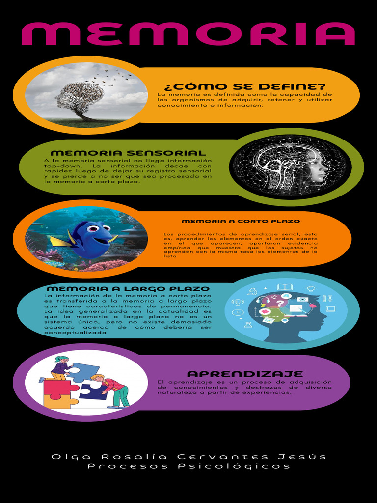 Procesos de Memoria y Aprendizaje | PDF