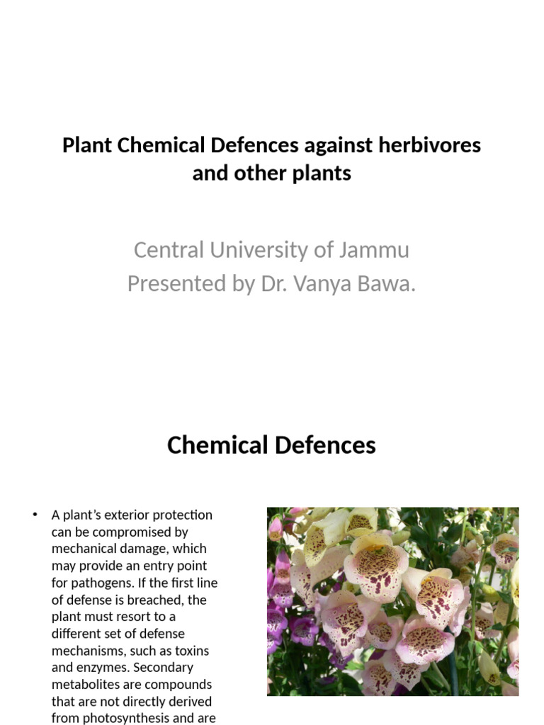 Plant Chemical Defenses Explained | PDF | Reactive Oxygen Species | Plants