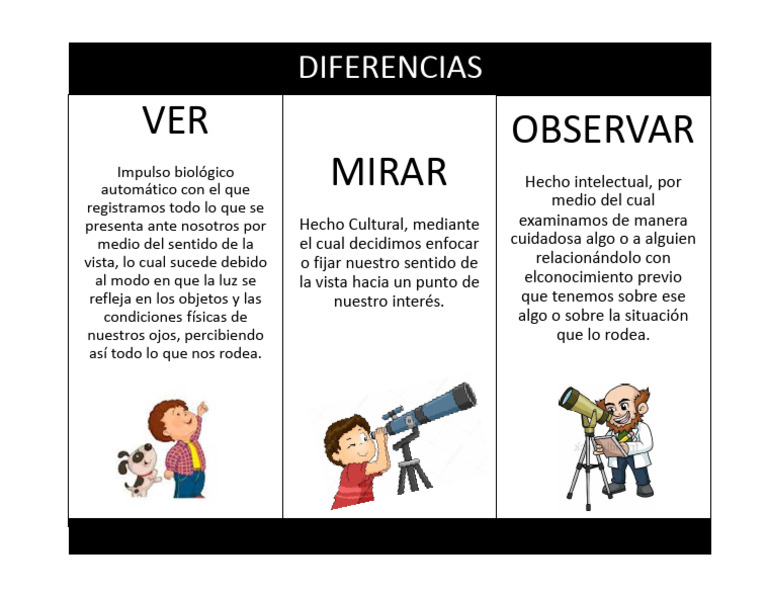 Tarea 1 Ver Mirar Observar | PDF