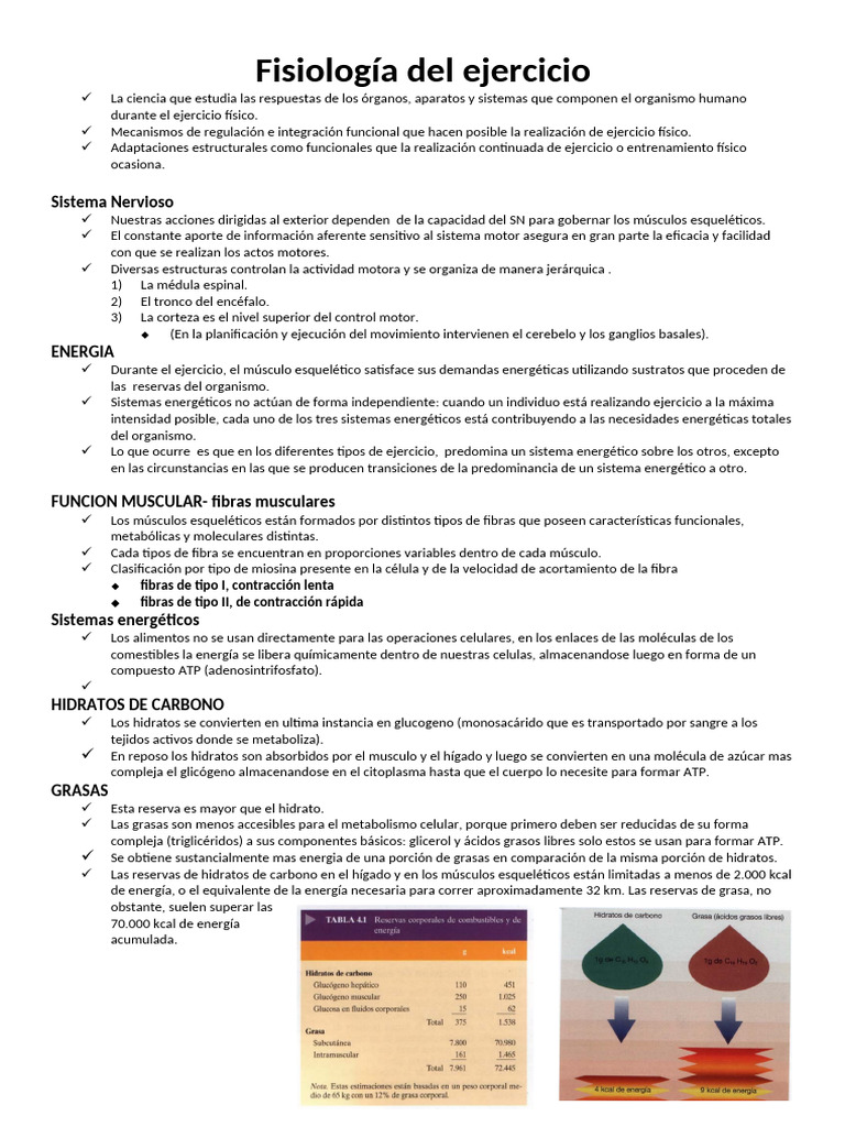 5-Fisiología Del Ejercicio | PDF | Músculo | Hormona