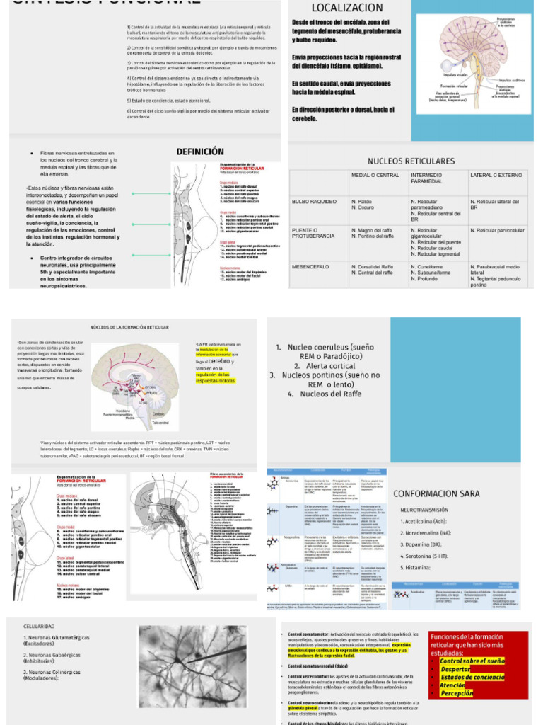 SARA | PDF