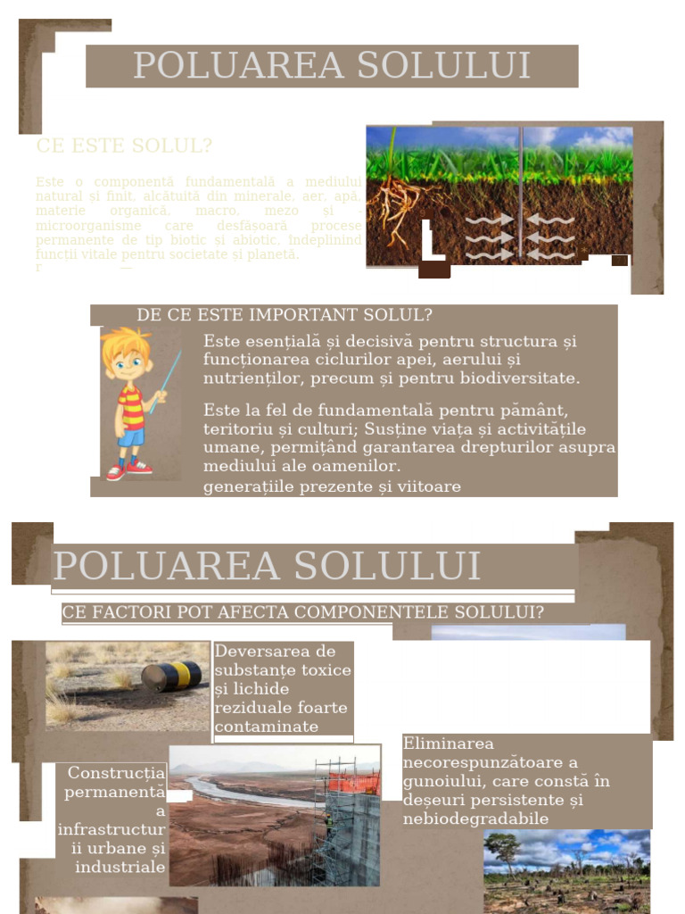 Contaminarea Solului | PDF