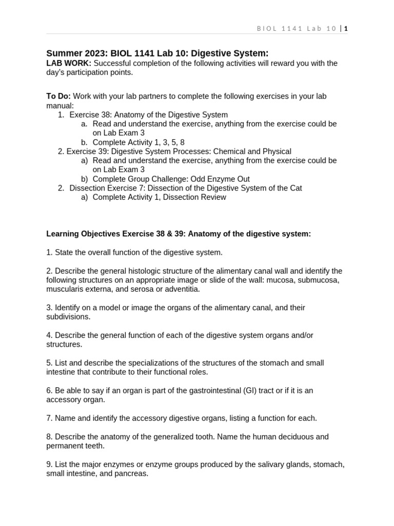 BIOL 1141 Lab 10: Digestive System Overview | PDF | Gastrointestinal ...