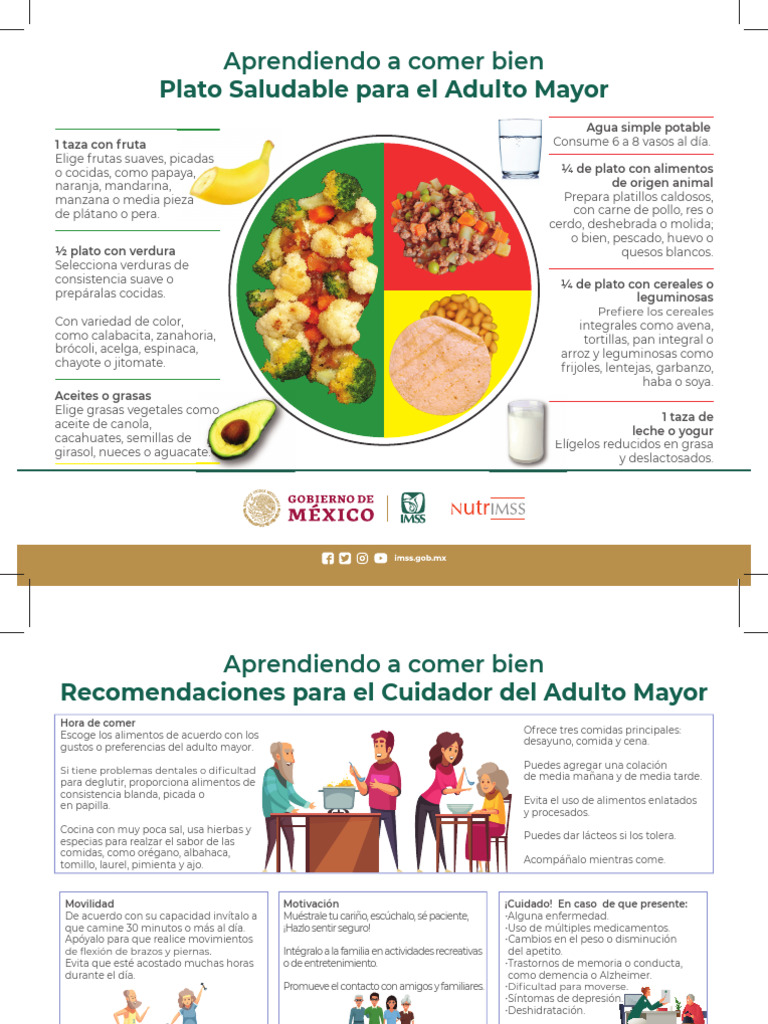 Guía de Alimentación Saludable para Adultos Mayores | PDF | Alimentos ...